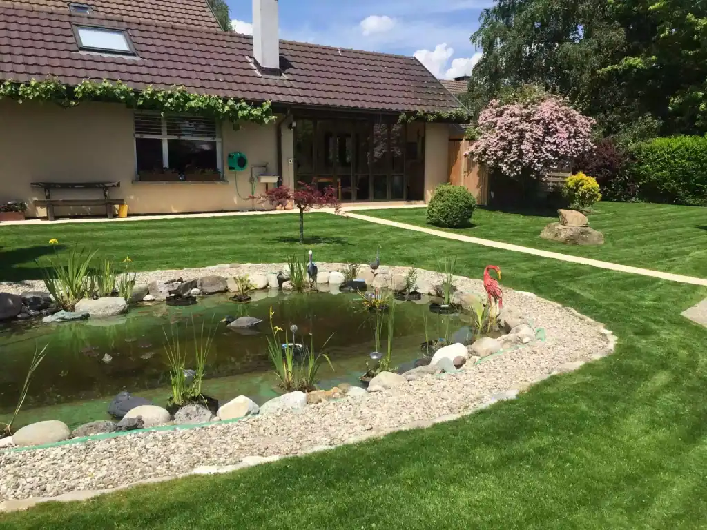 Jardin paysager avec étang, pelouse verte et arbres en fleurs, Dori Jardins.